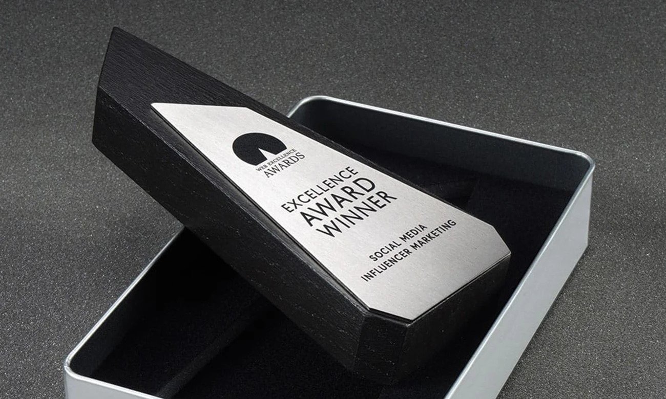 Web Excellence Award